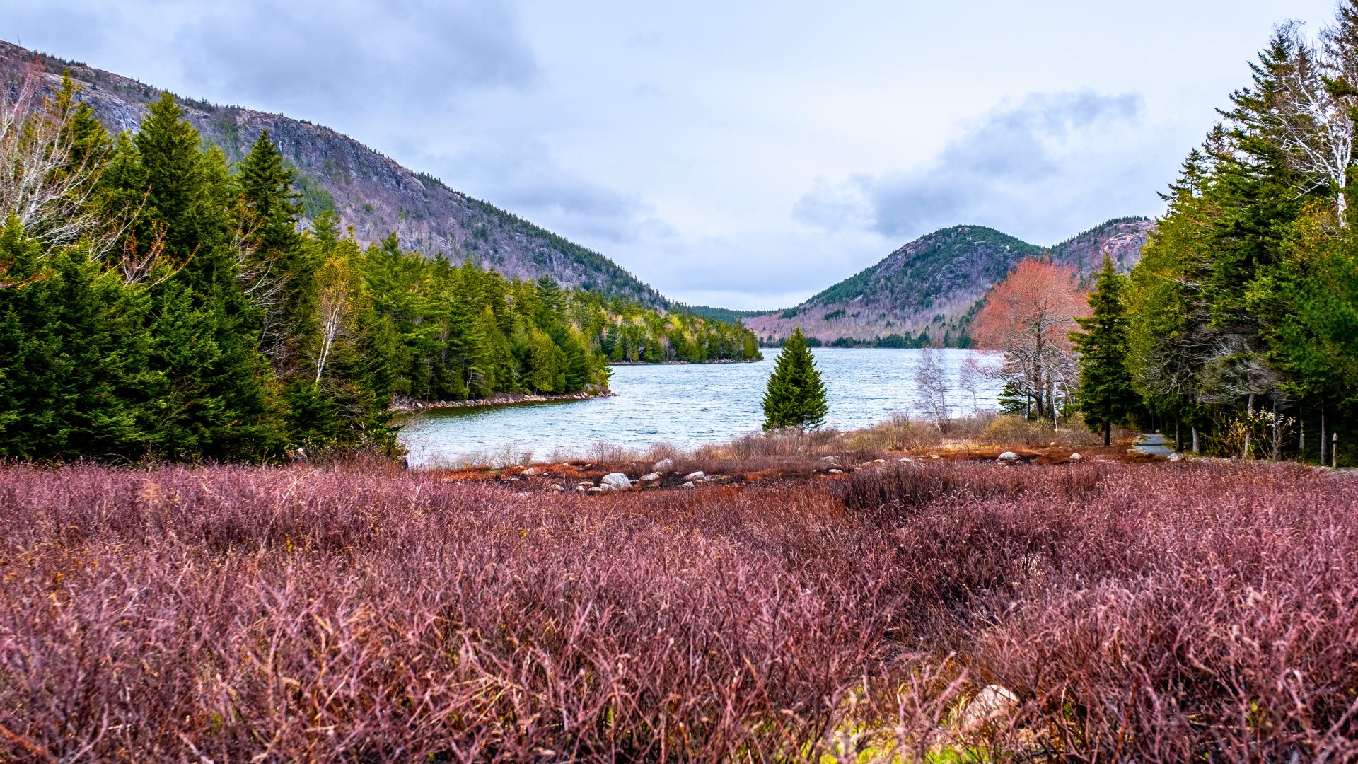 Ιορδανία Pond στο Εθνικό Πάρκο Acadia στο Maine