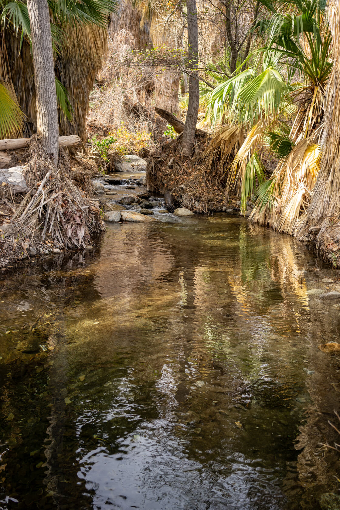 Andreas Creek